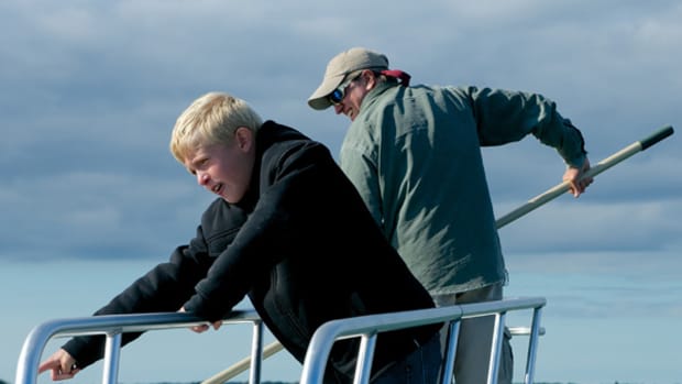 11-Year-Old Sports Fan's Quest to Save Sharks
